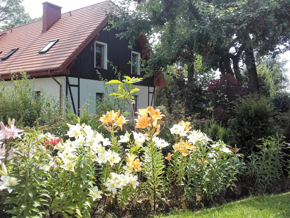Willa Za Debami Aparthotel Głogów Exterior foto