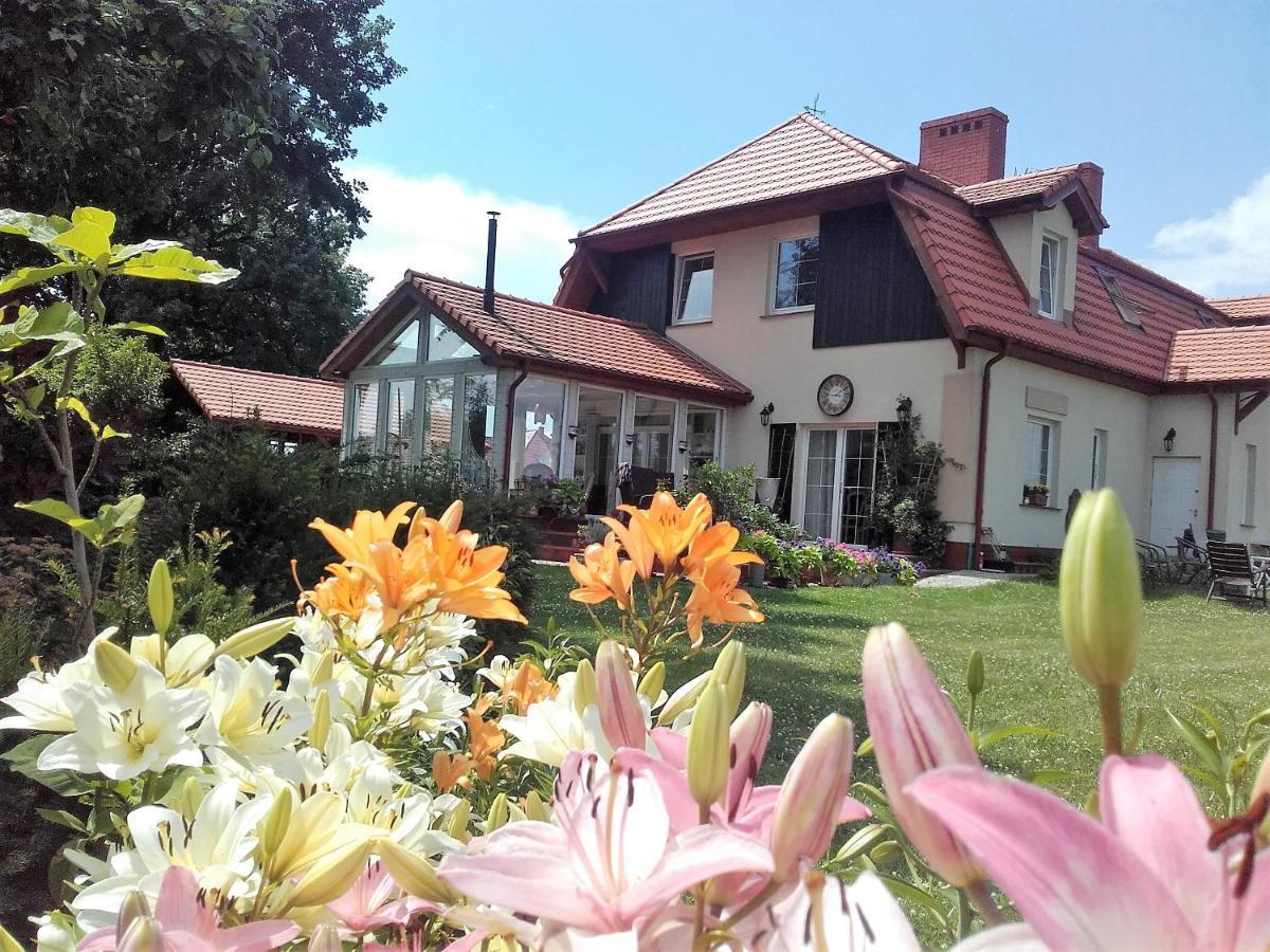 Willa Za Debami Aparthotel Głogów Exterior foto